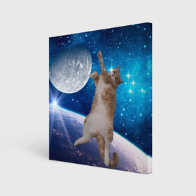 Холст квадратный с принтом Кисулькин в космосе в Петрозаводске, 100% ПВХ |  | астроном пушистый | барсик | звезды | космос | котики | коты