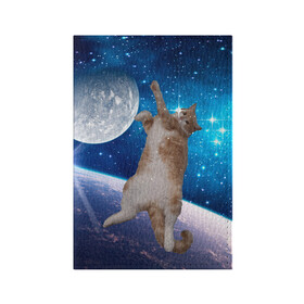 Обложка для паспорта матовая кожа с принтом Кисулькин в космосе в Петрозаводске, натуральная матовая кожа | размер 19,3 х 13,7 см; прозрачные пластиковые крепления | Тематика изображения на принте: астроном пушистый | барсик | звезды | космос | котики | коты