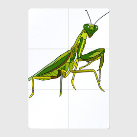 Магнитный плакат 2Х3 с принтом Богомол в Петрозаводске, Полимерный материал с магнитным слоем | 6 деталей размером 9*9 см | animals | insect | mantis | nature | summer | богомол | весна | дикие | животные | жуки | звери | зеленый богомол | клещни | комары | кузнечики | лапки | лето | мухи | насекомое | природа | самка | стрекоза | существа | усики
