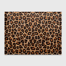 Обложка для студенческого билета с принтом Шкура Леопарда в Петрозаводске, натуральная кожа | Размер: 11*8 см; Печать на всей внешней стороне | leopard | skin | wool | кожа | леопард