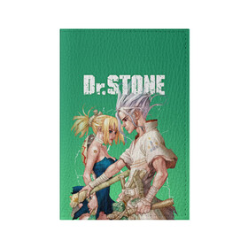 Обложка для паспорта матовая кожа с принтом Dr Stone в Петрозаводске, натуральная матовая кожа | размер 19,3 х 13,7 см; прозрачные пластиковые крепления | dr. stone | kohaku | senku | taiju | доктор стоун | исигами сэнку | кохаку | сэнку | тайдзю | цукаса