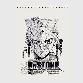 Скетчбук с принтом Dr Stone Senkuu в Петрозаводске, 100% бумага
 | 48 листов, плотность листов — 100 г/м2, плотность картонной обложки — 250 г/м2. Листы скреплены сверху удобной пружинной спиралью | dr. stone | kohaku | senku | taiju | доктор стоун | исигами сэнку | кохаку | сэнку | тайдзю | цукаса