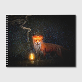 Альбом для рисования с принтом Лиса с огненной короной в Петрозаводске, 100% бумага
 | матовая бумага, плотность 200 мг. | Тематика изображения на принте: fox | foxy | животное | звери | лиса | лисенок | лисичка | милая | рыжая | фокс