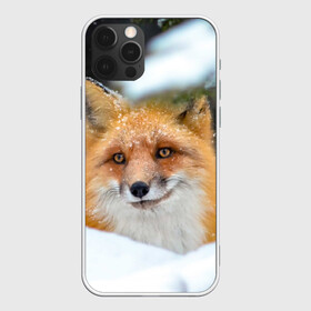 Чехол для iPhone 12 Pro Max с принтом Лисичка на сугробе в Петрозаводске, Силикон |  | fox | foxy | животное | звери | лиса | лисенок | лисичка | милая | рыжая | фокс