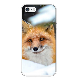 Чехол для iPhone 5/5S матовый с принтом Лисичка на сугробе в Петрозаводске, Силикон | Область печати: задняя сторона чехла, без боковых панелей | fox | foxy | животное | звери | лиса | лисенок | лисичка | милая | рыжая | фокс