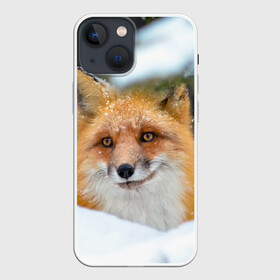 Чехол для iPhone 13 mini с принтом Лисичка на сугробе в Петрозаводске,  |  | fox | foxy | животное | звери | лиса | лисенок | лисичка | милая | рыжая | фокс