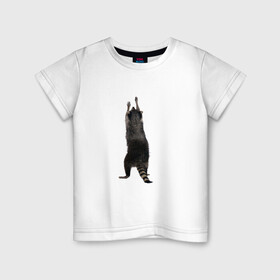 Детская футболка хлопок с принтом Прикольный енот тянется вверх  в Петрозаводске, 100% хлопок | круглый вырез горловины, полуприлегающий силуэт, длина до линии бедер | raccoon | енот | животные | звери | картинки | прикольные | тянется | хвост