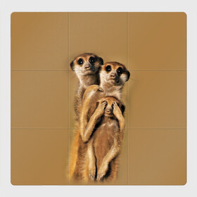 Магнитный плакат 3Х3 с принтом Сурикаты в Петрозаводске, Полимерный материал с магнитным слоем | 9 деталей размером 9*9 см | Тематика изображения на принте: животные | прикол | прикольные животные | природа | смешные | смешные животные | сурикат
