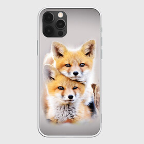 Чехол для iPhone 12 Pro Max с принтом Лисята в Петрозаводске, Силикон |  | детеныши | животные | лиса | лисенок | лисичка | лисята | природа | рыжая