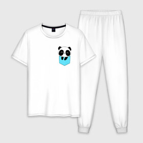 Мужская пижама хлопок с принтом Панда милашка в кармашке в Петрозаводске, 100% хлопок | брюки и футболка прямого кроя, без карманов, на брюках мягкая резинка на поясе и по низу штанин
 | животное | карман | малышка | медведь | милашка