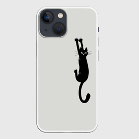 Чехол для iPhone 13 mini с принтом Испуганный кот в Петрозаводске,  |  | animal | beast | cat | claws | fright | frightened | kitten | look | surprise | surprised | взгляд | животное | зверь | испуг | испуганный | когти | кот | котенок | кошка | удивление | удивленный