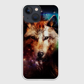 Чехол для iPhone 13 mini с принтом WOLF в Петрозаводске,  |  | wolf | абстракция | волк | хищник