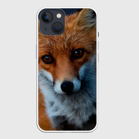 Чехол для iPhone 13 с принтом Мудрая лиса в Петрозаводске,  |  | Тематика изображения на принте: fox | foxy | животное | звери | лиса | лисенок | лисичка | милая | рыжая | фокс