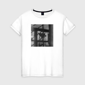 Женская футболка хлопок с принтом Нарциссы на фоне окна в Петрозаводске, 100% хлопок | прямой крой, круглый вырез горловины, длина до линии бедер, слегка спущенное плечо | нарциссы | натюрморт | природа | цветы | чёрное и белое
