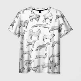 Мужская футболка 3D с принтом ПОРОДЫ СОБАК С ФОТОГРАФИЯМИ в Петрозаводске, 100% полиэфир | прямой крой, круглый вырез горловины, длина до линии бедер | бассет | бигль | боксер | борзая | бульдог | далматинец | доберман | дог | колли | лабрадор | милая собака | милые собаки | мопс | овчарка | папийон | пекинес | порода | пудель | сеттер | собака | собаки