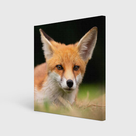 Холст квадратный с принтом Мордочка лисицы в Петрозаводске, 100% ПВХ |  | fox | foxy | животное | звери | лиса | лисенок | лисичка | милая | рыжая | фокс