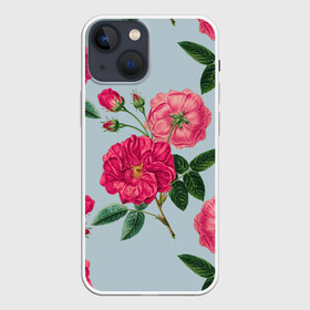 Чехол для iPhone 13 mini с принтом Чайная роза в Петрозаводске,  |  | Тематика изображения на принте: арт | пион | пионы | поле | поле цветов | рисунок | роза | розовая роза | розовые розы | розовые цветы | розовый цветок | розы | цветок | цветы | чайная роза