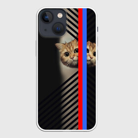 Чехол для iPhone 13 mini с принтом Кот в Петрозаводске,  |  | большие глаза | котик | милый | усатый