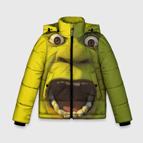 Зимняя куртка для мальчиков 3D с принтом Shrek Шрек в Петрозаводске, ткань верха — 100% полиэстер; подклад — 100% полиэстер, утеплитель — 100% полиэстер | длина ниже бедра, удлиненная спинка, воротник стойка и отстегивающийся капюшон. Есть боковые карманы с листочкой на кнопках, утяжки по низу изделия и внутренний карман на молнии. 

Предусмотрены светоотражающий принт на спинке, радужный светоотражающий элемент на пуллере молнии и на резинке для утяжки | 20 | 4к | boots | cat | donkey | fiona | green | in | me | meme | memes | once | shrek | somebody | told | в | зеленый | кот | лет | мем | мемы | мульт | мультфильм | огр | огры | осел | сапогах | фиона | шрек