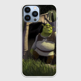 Чехол для iPhone 13 Pro Max с принтом Somebody Once Told Me в Петрозаводске,  |  | 20 | 4к | boots | cat | donkey | fiona | green | in | me | meme | memes | once | shrek | somebody | told | в | зеленый | кот | лет | мем | мемы | мульт | мультфильм | огр | огры | осел | сапогах | фиона | шрек