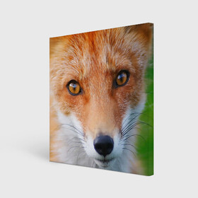 Холст квадратный с принтом Крупно мордочка лисы в Петрозаводске, 100% ПВХ |  | fox | foxy | животное | звери | лиса | лисенок | лисичка | милая | рыжая | фокс