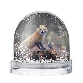 Снежный шар с принтом Лисица и птичка в Петрозаводске, Пластик | Изображение внутри шара печатается на глянцевой фотобумаге с двух сторон | fox | foxy | животное | звери | лиса | лисенок | лисичка | милая | рыжая | фокс