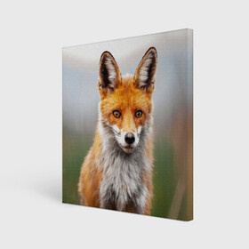 Холст квадратный с принтом рыжая лисица в Петрозаводске, 100% ПВХ |  | fox | foxy | животное | звери | лиса | лисенок | лисичка | милая | рыжая | фокс