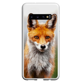 Чехол для Samsung Galaxy S10 с принтом рыжая лисица в Петрозаводске, Силикон | Область печати: задняя сторона чехла, без боковых панелей | fox | foxy | животное | звери | лиса | лисенок | лисичка | милая | рыжая | фокс