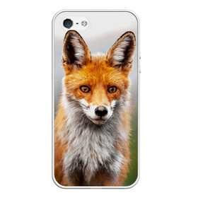 Чехол для iPhone 5/5S матовый с принтом рыжая лисица в Петрозаводске, Силикон | Область печати: задняя сторона чехла, без боковых панелей | Тематика изображения на принте: fox | foxy | животное | звери | лиса | лисенок | лисичка | милая | рыжая | фокс