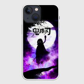 Чехол для iPhone 13 mini с принтом Demon Slayer: Kimetsu no Yaiba в Петрозаводске,  |  | demon slayer | kamado | kimetsu no yaiba | nezuko | tanjiro | аниме | гию томиока | зеницу агацума | иноске хашибира | камадо | клинок | корзинная девочка | манга | музан кибуцуджи | незуко | рассекающий демонов | танджиро