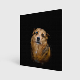Холст квадратный с принтом ГРУСТНЫЕ ГЛАЗКИ в Петрозаводске, 100% ПВХ |  | animal | black | dog | photo | глаза | грусть | домашние | животные | звери | пес | пушистый | собакен | собаки | черный