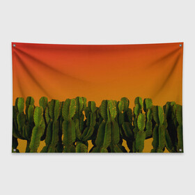 Флаг-баннер с принтом Кактусы на закате в Петрозаводске, 100% полиэстер | размер 67 х 109 см, плотность ткани — 95 г/м2; по краям флага есть четыре люверса для крепления | восход | закат | кактусы | пейзаж | пустыня | растения