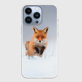 Чехол для iPhone 13 Pro с принтом Лисица прыгает по снегу в Петрозаводске,  |  | fox | foxy | животное | звери | лиса | лисенок | лисичка | милая | рыжая | фокс