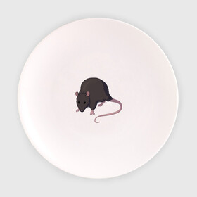 Тарелка с принтом Чёрная крыса в Петрозаводске, фарфор | диаметр - 210 мм
диаметр для нанесения принта - 120 мм | rat | грызуны | животные | крысы | притомцы