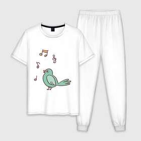Мужская пижама хлопок с принтом птичка зеленая поет в Петрозаводске, 100% хлопок | брюки и футболка прямого кроя, без карманов, на брюках мягкая резинка на поясе и по низу штанин
 | весна | зеленый птенчик | мелодия | музыка | ноты | оратор | певец | певица | пение | песня | птенец | птица | птичка | птичужка | радость | рисунок | чив | чирик