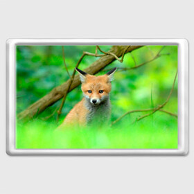 Магнит 45*70 с принтом Лисенок в зеленом лесу в Петрозаводске, Пластик | Размер: 78*52 мм; Размер печати: 70*45 | fox | foxy | животное | звери | лиса | лисенок | лисичка | милая | рыжая | фокс