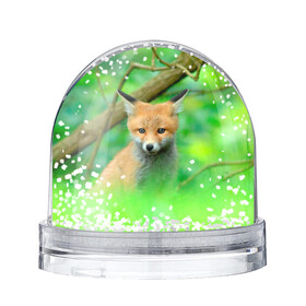 Игрушка Снежный шар с принтом Лисенок в зеленом лесу в Петрозаводске, Пластик | Изображение внутри шара печатается на глянцевой фотобумаге с двух сторон | fox | foxy | животное | звери | лиса | лисенок | лисичка | милая | рыжая | фокс