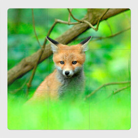 Магнитный плакат 3Х3 с принтом Лисенок в зеленом лесу в Петрозаводске, Полимерный материал с магнитным слоем | 9 деталей размером 9*9 см | fox | foxy | животное | звери | лиса | лисенок | лисичка | милая | рыжая | фокс