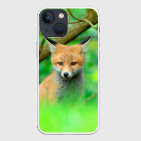 Чехол для iPhone 13 mini с принтом Лисенок в зеленом лесу в Петрозаводске,  |  | fox | foxy | животное | звери | лиса | лисенок | лисичка | милая | рыжая | фокс