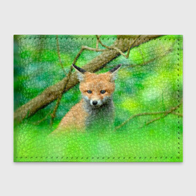 Обложка для студенческого билета с принтом Лисенок в зеленом лесу в Петрозаводске, натуральная кожа | Размер: 11*8 см; Печать на всей внешней стороне | fox | foxy | животное | звери | лиса | лисенок | лисичка | милая | рыжая | фокс