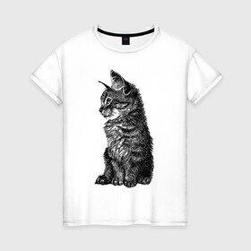 Женская футболка хлопок с принтом Котенок в Петрозаводске, 100% хлопок | прямой крой, круглый вырез горловины, длина до линии бедер, слегка спущенное плечо | cat | kitty | кот | котенок | кошка | питомец
