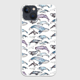 Чехол для iPhone 13 с принтом киты паттерн в Петрозаводске,  |  | ocean | sea | sea animal | акварель | графика | касатка | киты | море | океан | рисунок кита