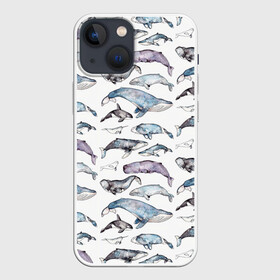 Чехол для iPhone 13 mini с принтом киты паттерн в Петрозаводске,  |  | ocean | sea | sea animal | акварель | графика | касатка | киты | море | океан | рисунок кита