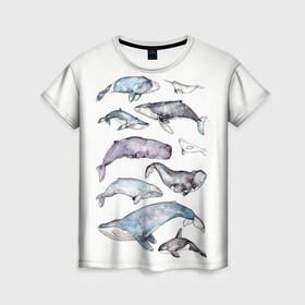 Женская футболка 3D с принтом киты в Петрозаводске, 100% полиэфир ( синтетическое хлопкоподобное полотно) | прямой крой, круглый вырез горловины, длина до линии бедер | ocean | sea | киты | море | морской принт | морской фон | океан | паттерн | рыбы | текстуры