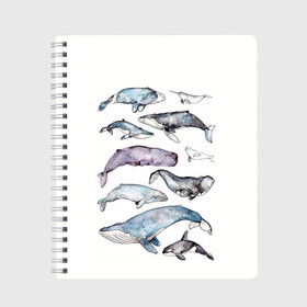 Тетрадь с принтом киты в Петрозаводске, 100% бумага | 48 листов, плотность листов — 60 г/м2, плотность картонной обложки — 250 г/м2. Листы скреплены сбоку удобной пружинной спиралью. Уголки страниц и обложки скругленные. Цвет линий — светло-серый
 | ocean | sea | киты | море | морской принт | морской фон | океан | паттерн | рыбы | текстуры