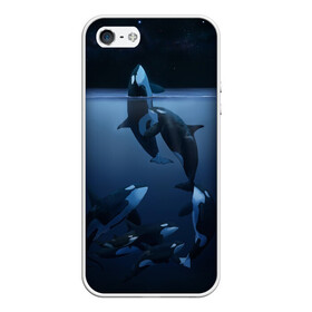 Чехол для iPhone 5/5S матовый с принтом касатки в Петрозаводске, Силикон | Область печати: задняя сторона чехла, без боковых панелей | ocean | orca | sea | sea animal | дельфин | касатка | кит | море | океан | рисунок кита