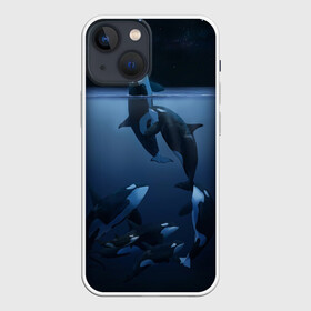 Чехол для iPhone 13 mini с принтом касатки в Петрозаводске,  |  | ocean | orca | sea | sea animal | дельфин | касатка | кит | море | океан | рисунок кита