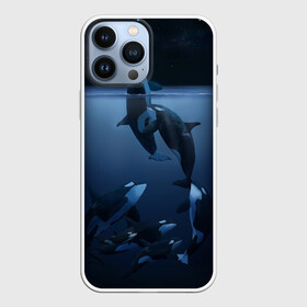 Чехол для iPhone 13 Pro Max с принтом касатки в Петрозаводске,  |  | ocean | orca | sea | sea animal | дельфин | касатка | кит | море | океан | рисунок кита