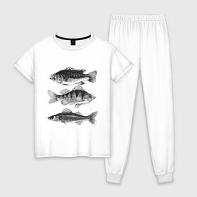Женская пижама хлопок с принтом караси в Петрозаводске, 100% хлопок | брюки и футболка прямого кроя, без карманов, на брюках мягкая резинка на поясе и по низу штанин | ocean | sea | sea animal | графика | карась | море | океан | река | рисунок рыбы | рыба | рыбалка