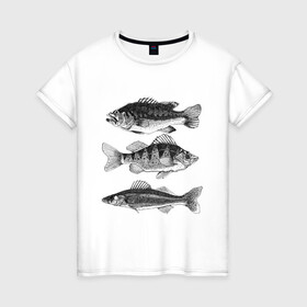 Женская футболка хлопок с принтом караси в Петрозаводске, 100% хлопок | прямой крой, круглый вырез горловины, длина до линии бедер, слегка спущенное плечо | ocean | sea | sea animal | графика | карась | море | океан | река | рисунок рыбы | рыба | рыбалка